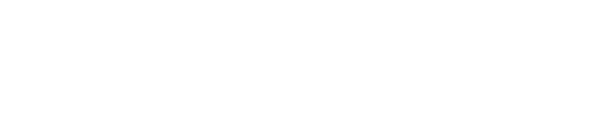 RTRViT